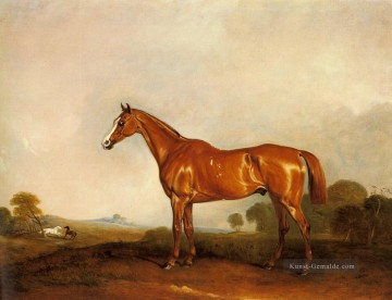  landschaft - A Chestnut Hunter In einer Landschaft Pferd John Ferneley Snr